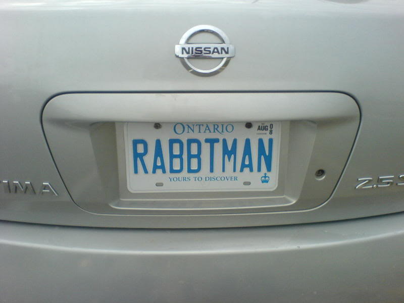 Name:  RABBTMAN.jpg
Views: 14
Size:  33.7 KB