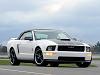 2006 Ford Project Mustang GT  ***pic's &amp; info***-2.jpg