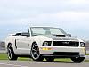 2006 Ford Project Mustang GT  ***pic's &amp; info***-3.jpg