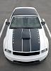 2006 Ford Project Mustang GT  ***pic's &amp; info***-4.jpg