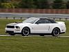 2006 Ford Project Mustang GT  ***pic's &amp; info***-5.jpg