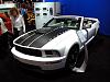 2006 Ford Project Mustang GT  ***pic's &amp; info***-8.jpg