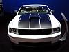 2006 Ford Project Mustang GT  ***pic's &amp; info***-9.jpg